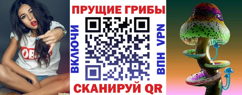 Псилоцибиновые грибы GOLDEN TEACHER KRAKEN зеркало Новый Оскол наркошоп